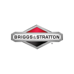 Briggs & Stratton